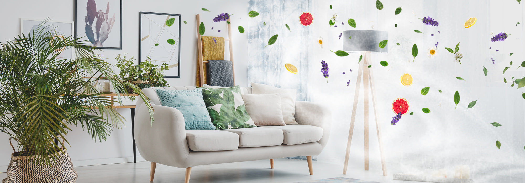 Perché e come umidificare l'aria della propria casa?