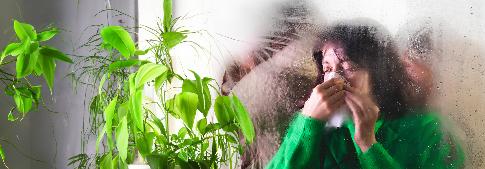 Quali sono i rimedi naturali per la congestione nasale?