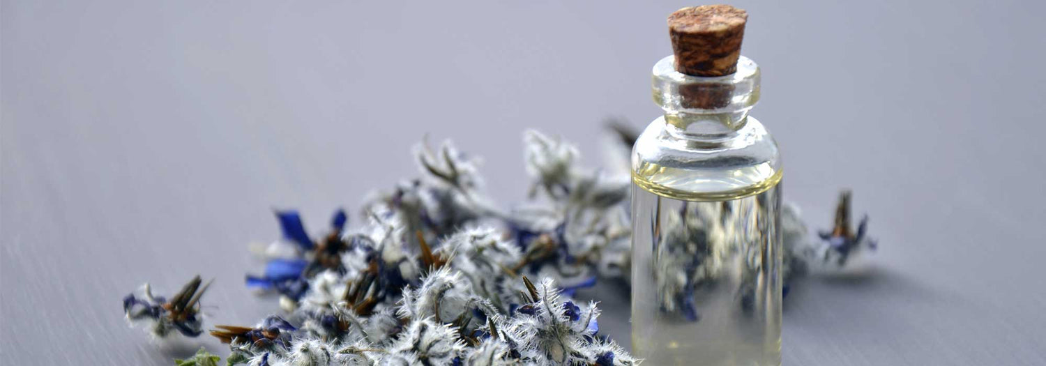 Quale olio vegetale scegliere? Benefici, precauzioni d'uso e ricette