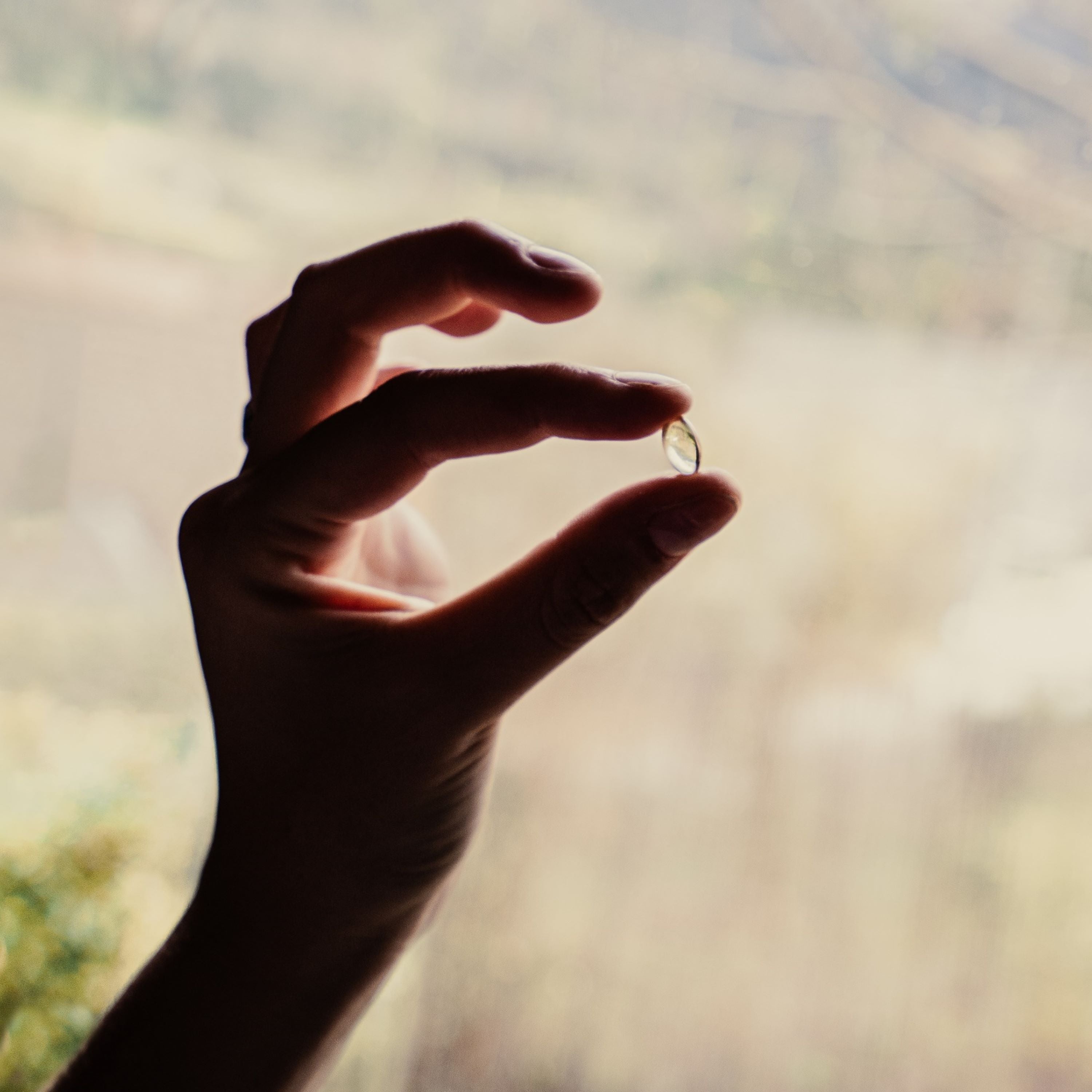 Capsule di Menta Piperita BIO