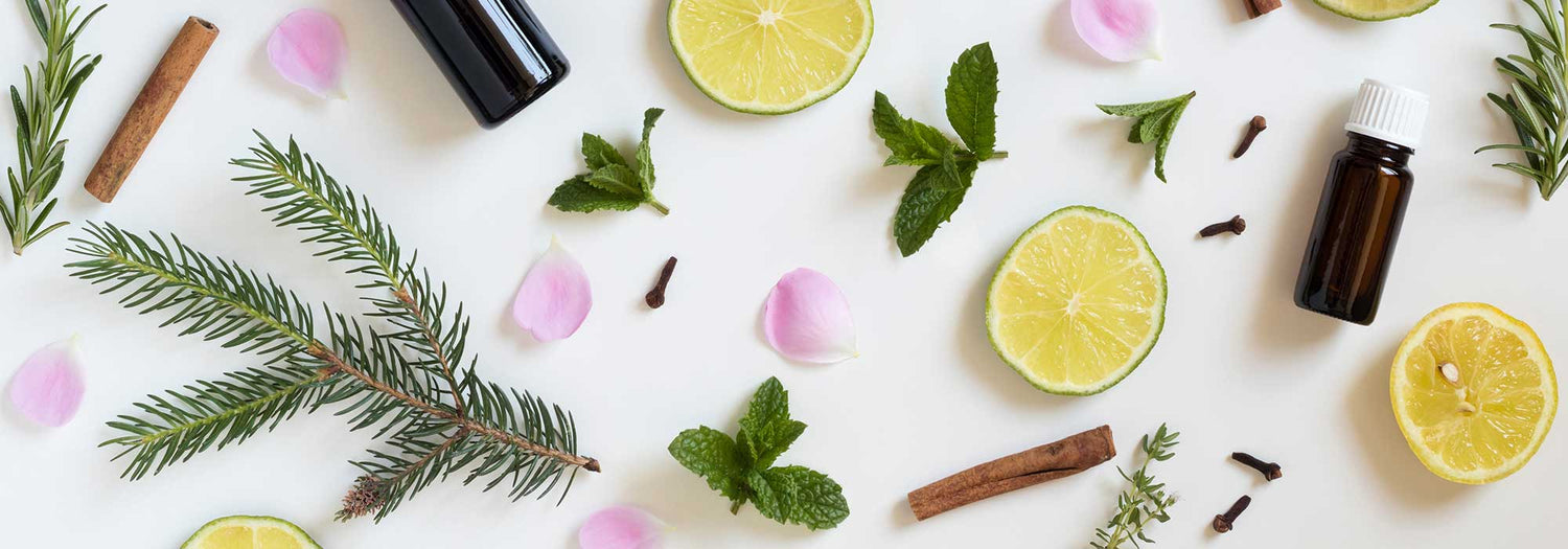 Lo spirito naturale in completa trasparenza puressentiel