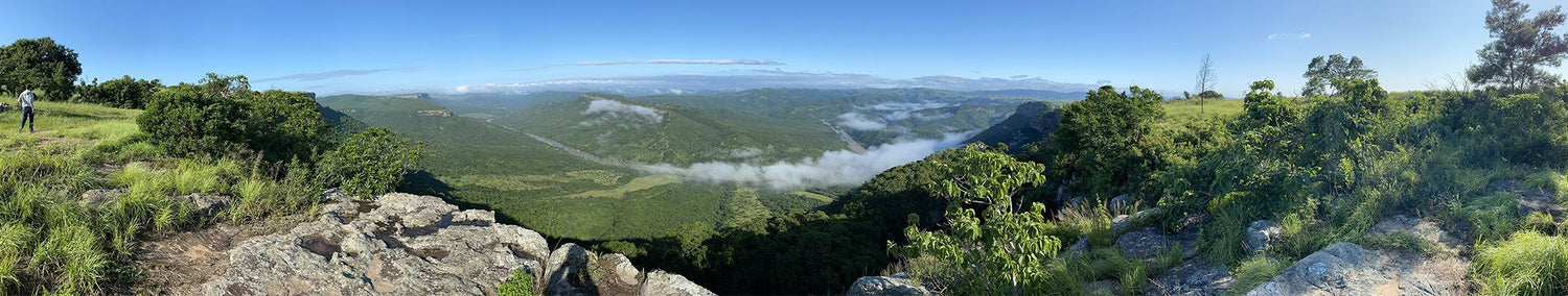 mondo preservato e naturalmente migliore puressentiel