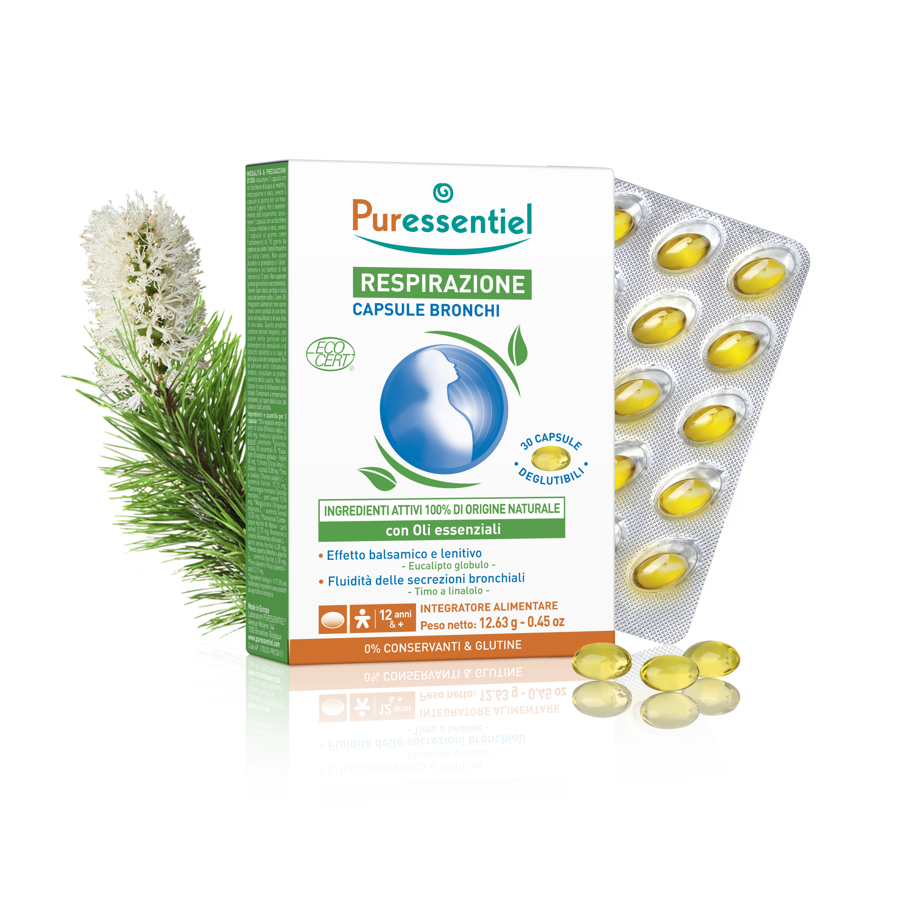 Capsule Bronchi