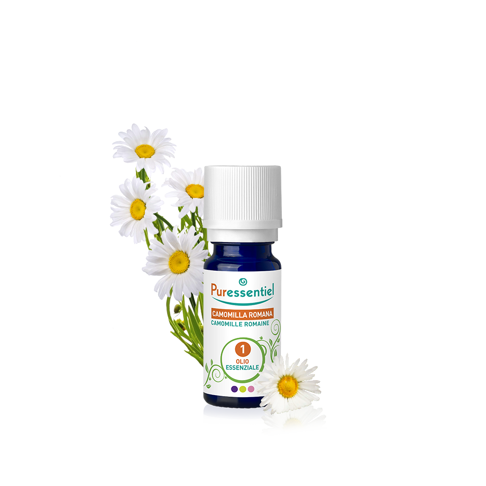 Camomilla Romana Olio Essenziale