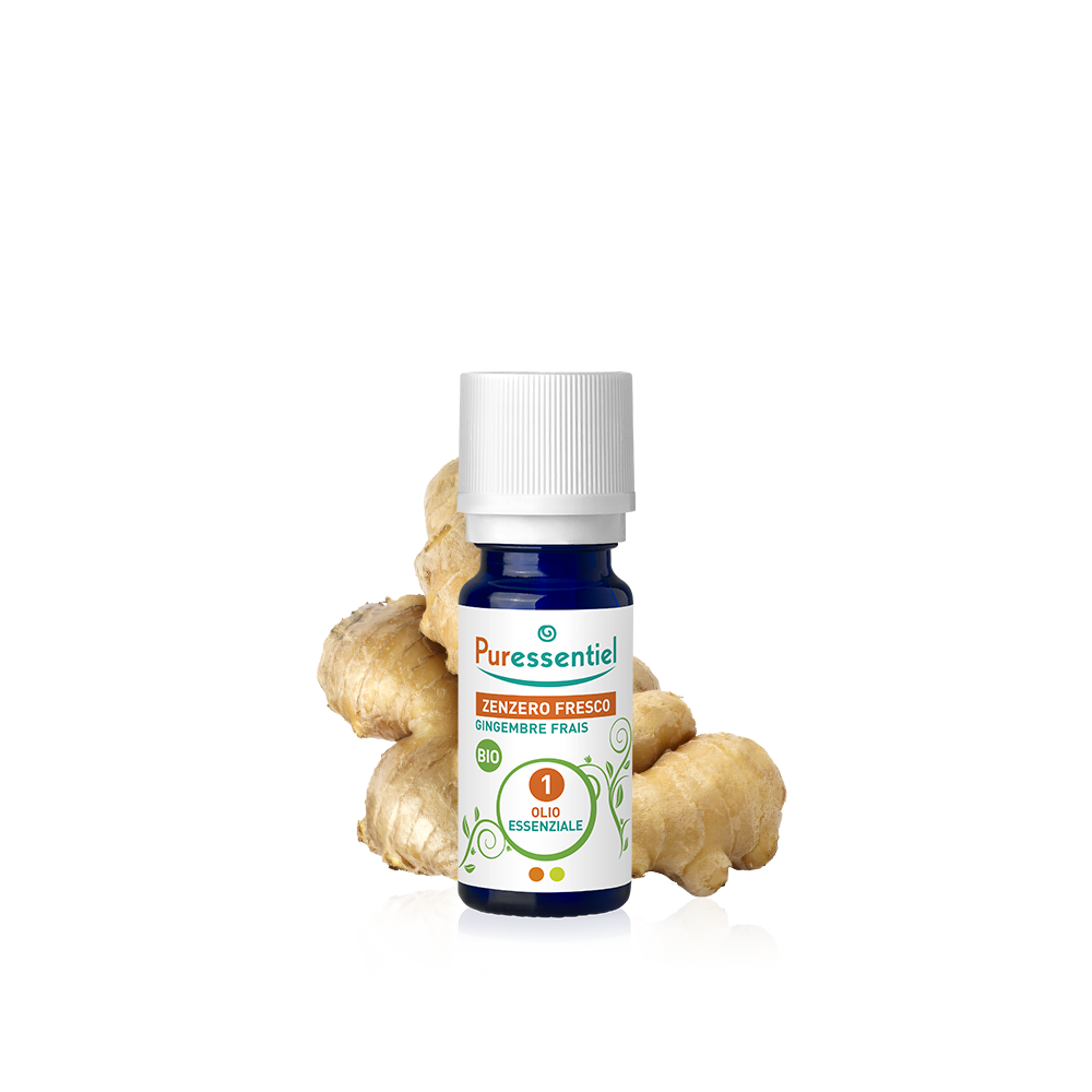 Zenzero Fresco Bio Olio Essenziale
