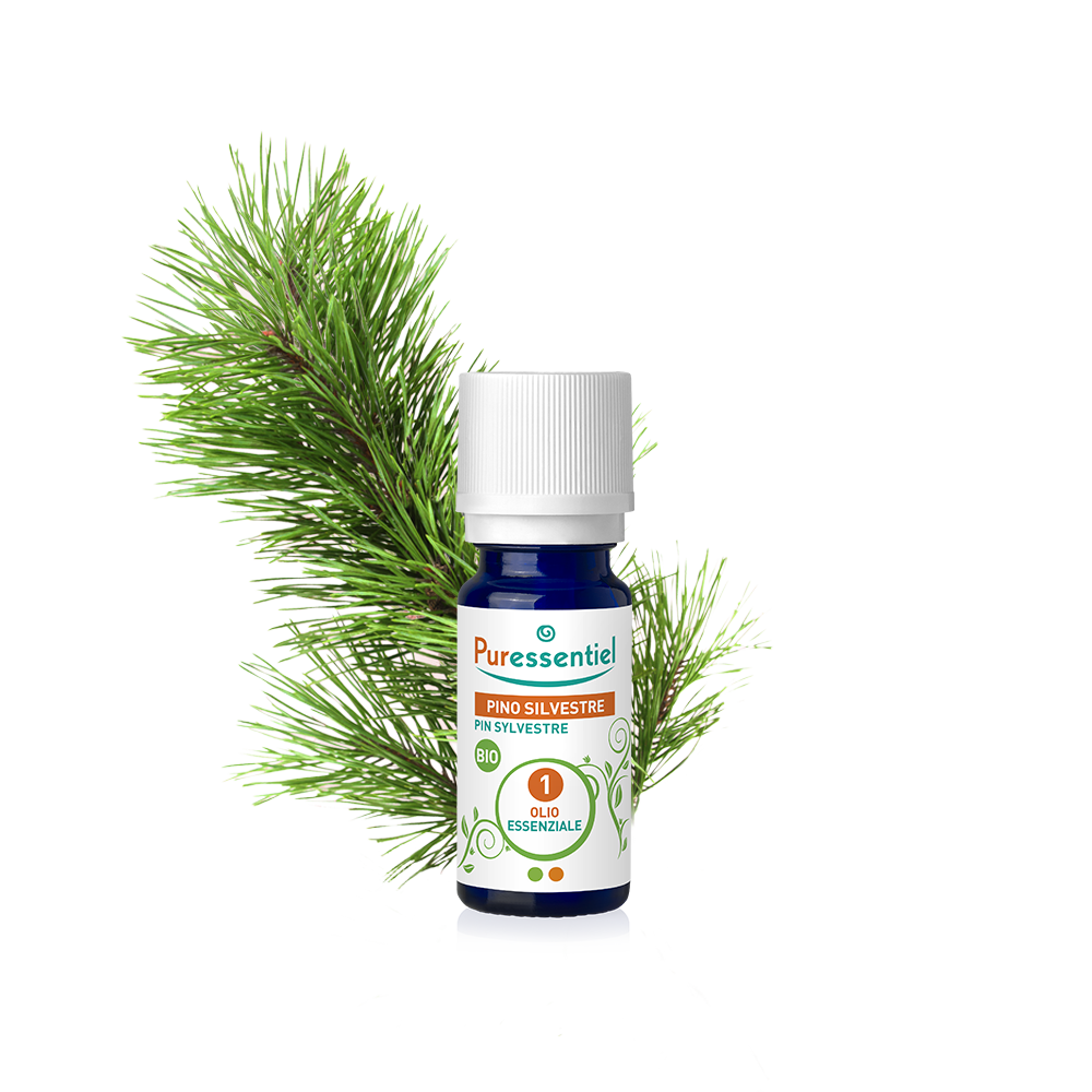 Pino Silvestre Bio Olio Essenziale