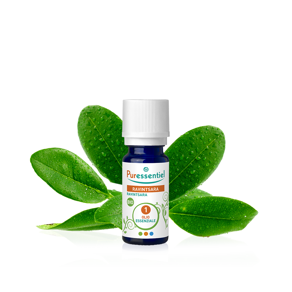 Olio Essenziale Ravintsara AROMA BANO 8 Ml – Puro, Naturale, Biologico – Per Aromaterapia E Diffusore