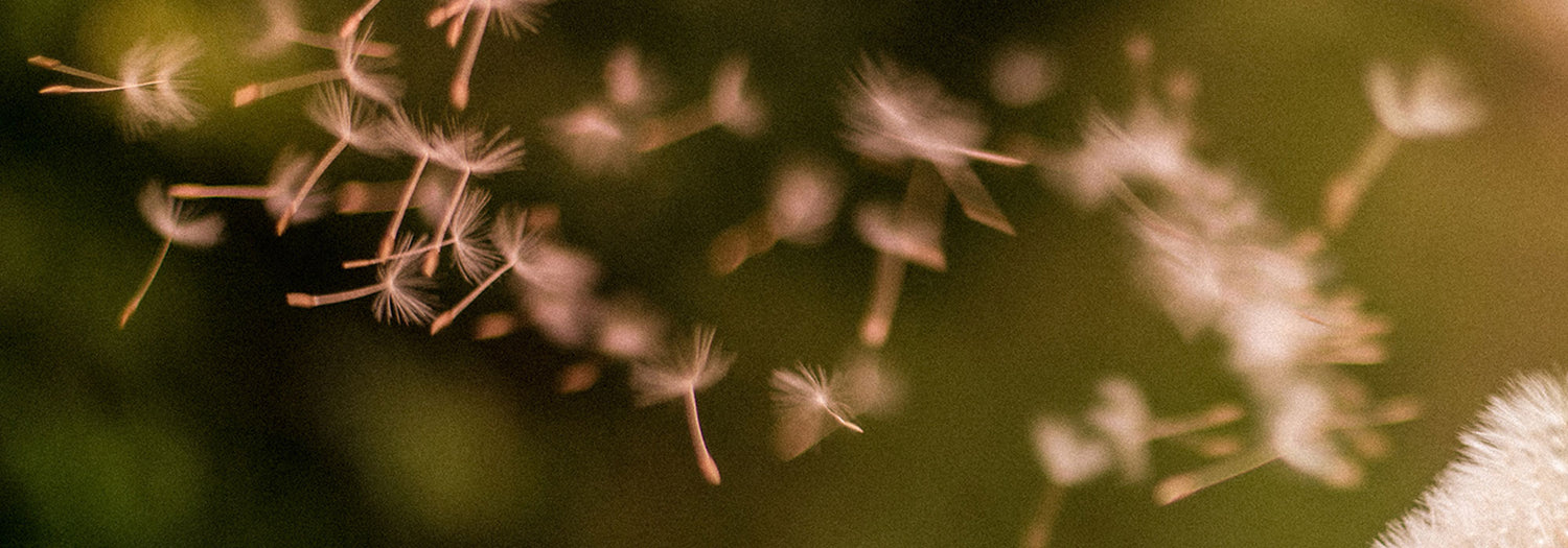 Come combattere la rinite allergica in modo naturale?