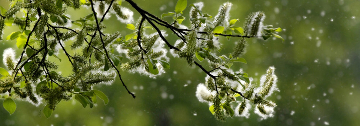 SPECIALE ASMA E ALLERGIE - Domande/risposte del Dr. Gigon