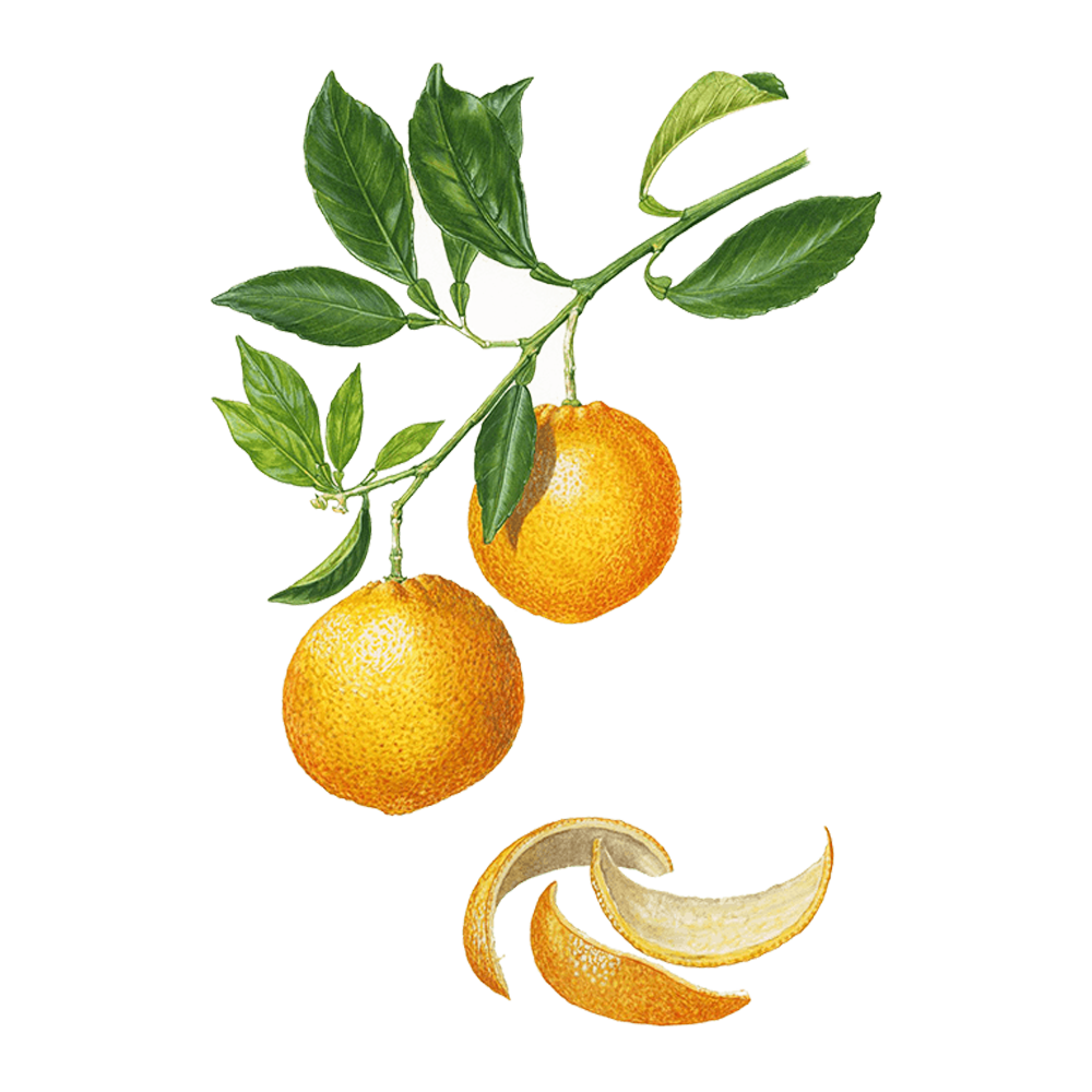Arancio dolce