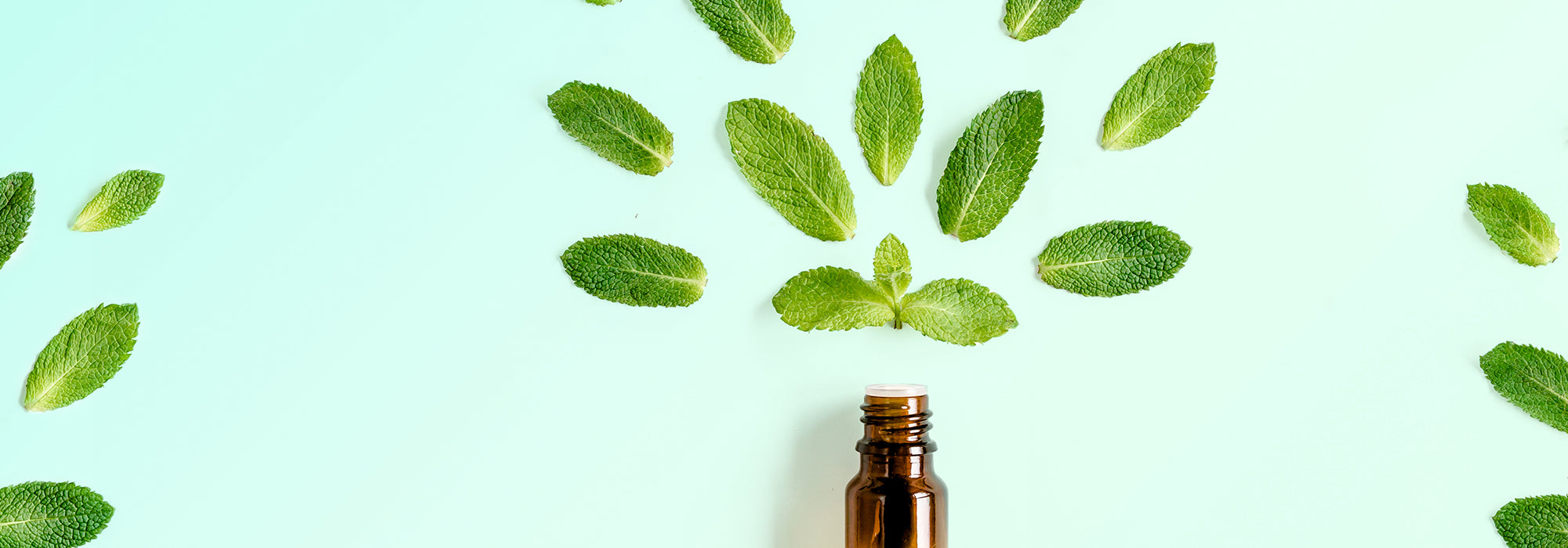 Olio essenziale di Menta Piperita: benefici e modi di utilizzo