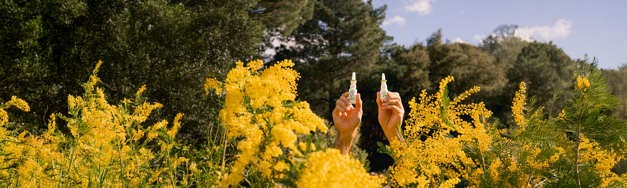 Primavera & Allergie