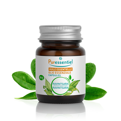 Capsule di Ravintsara BIO