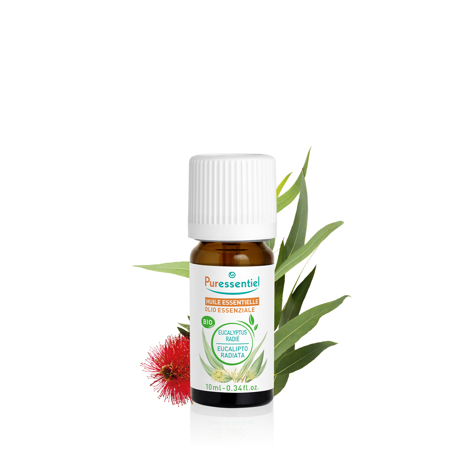 Olio Essenziale di Eucalipto Radiata Bio