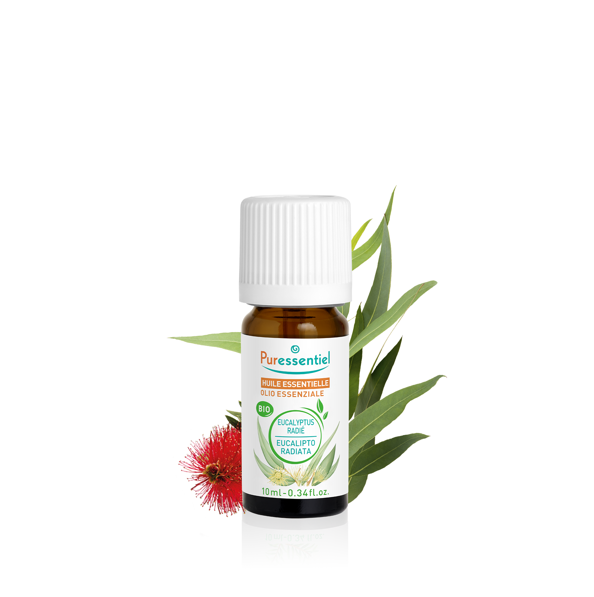 Olio Essenziale di Eucalipto Radiata Bio