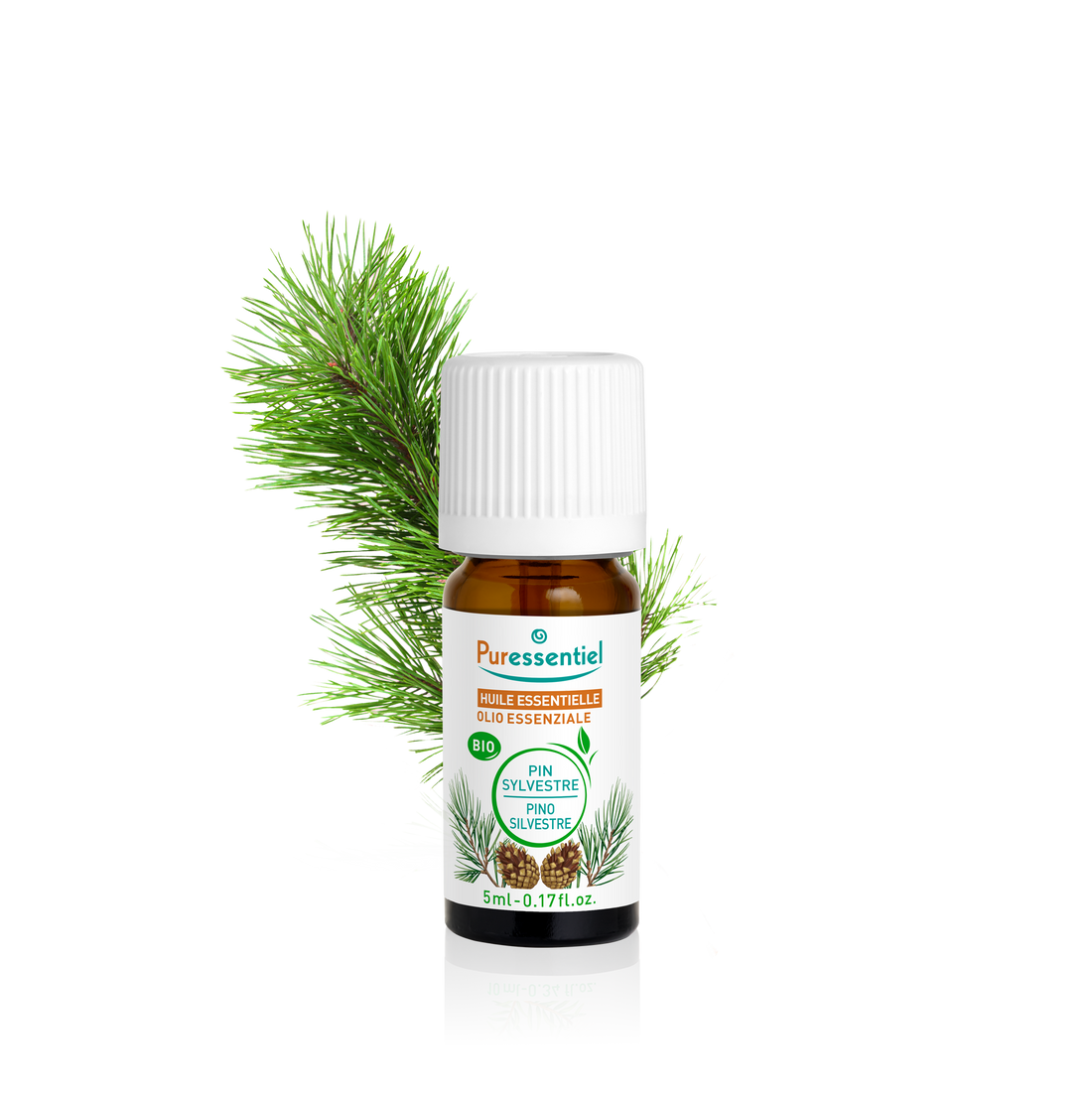 Olio Essenziale di Pino Silvestre Bio