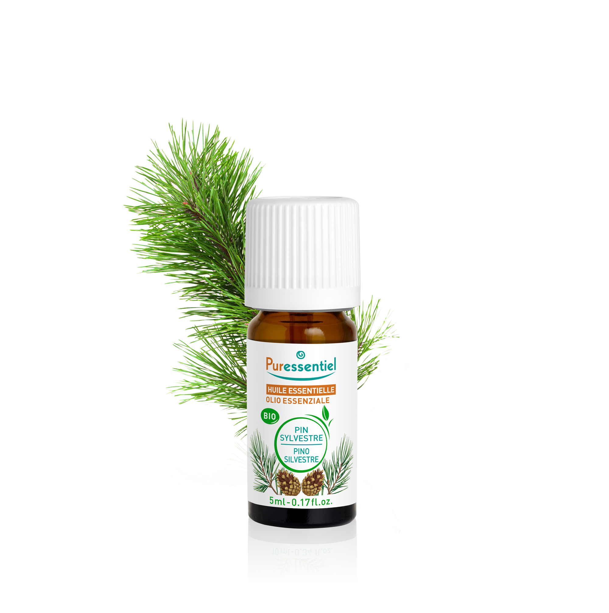 Olio Essenziale di Pino Silvestre Bio