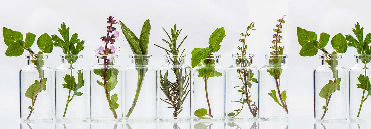 naturale savoir-faire