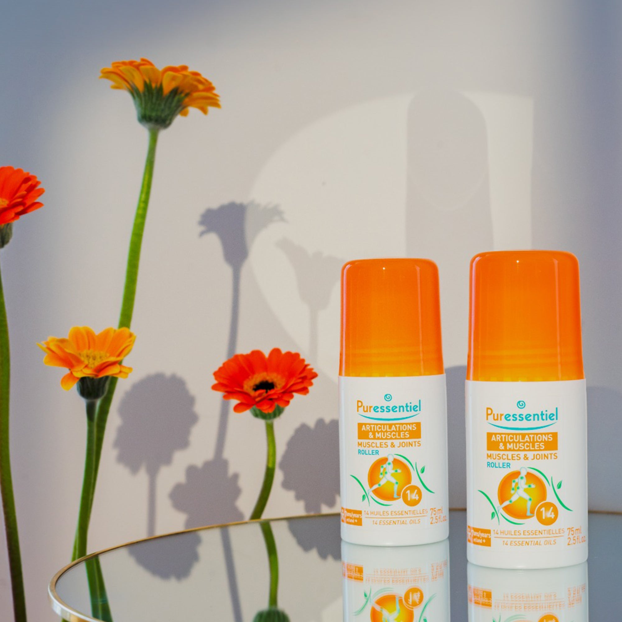 Duo Articolazioni &amp; Muscoli Roller