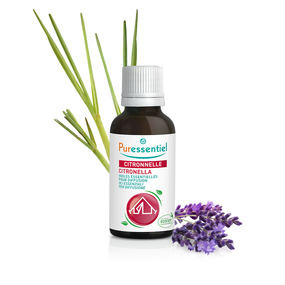 Oli Essenziali Per Diffusione Citronella + 3 Oli Essenziali