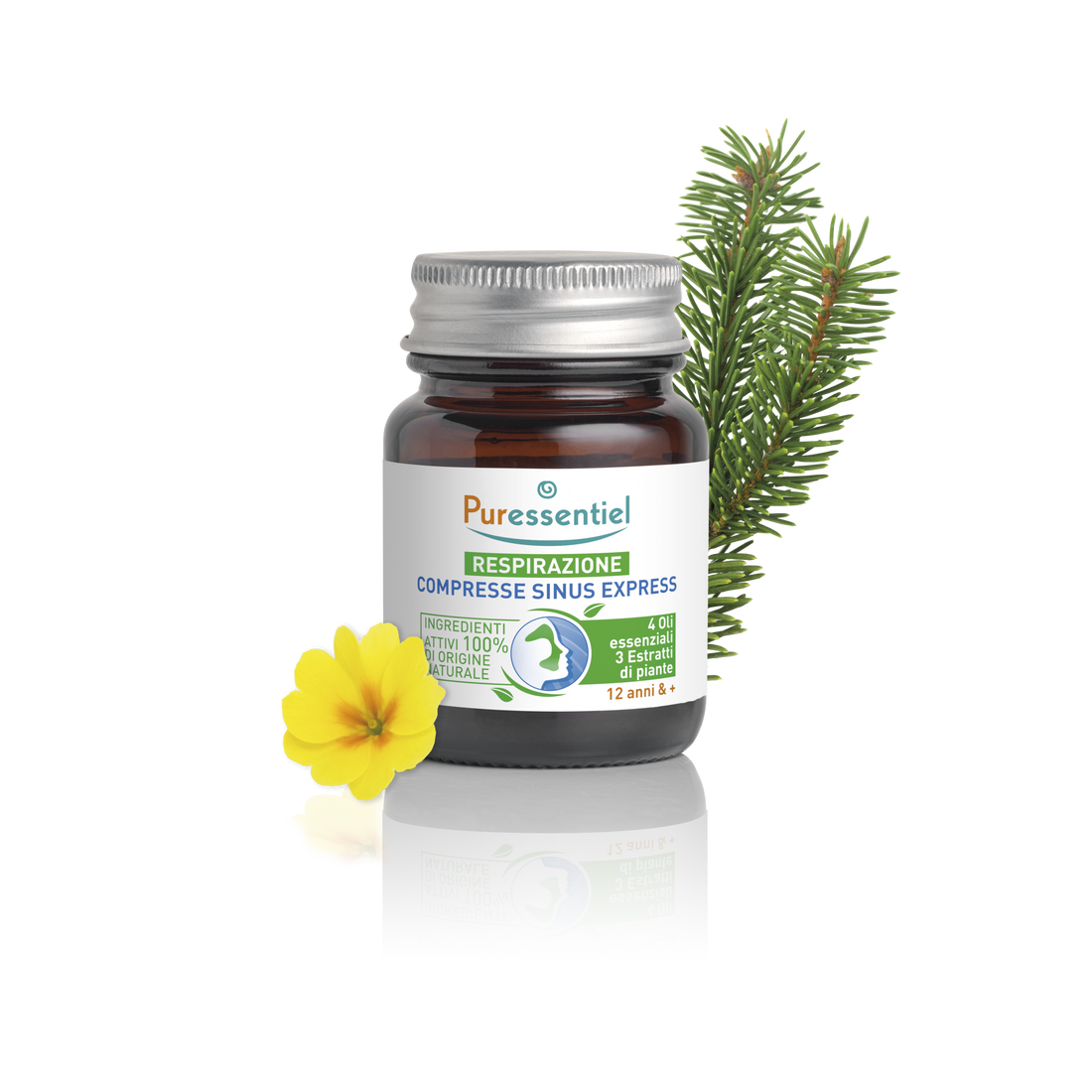 Compresse Sinus Express