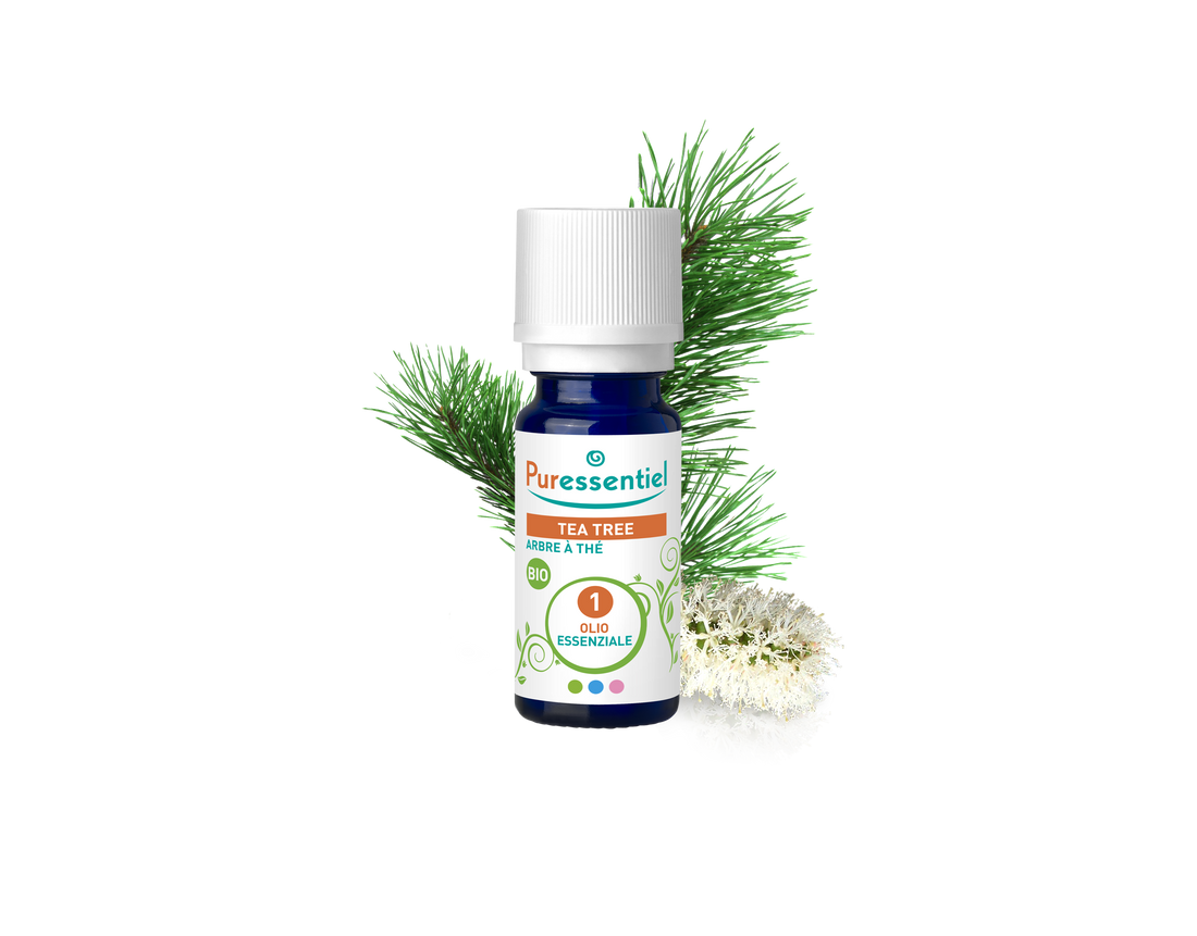 Olio Essenziale di Tea Tree (Albero del Tè) Bio