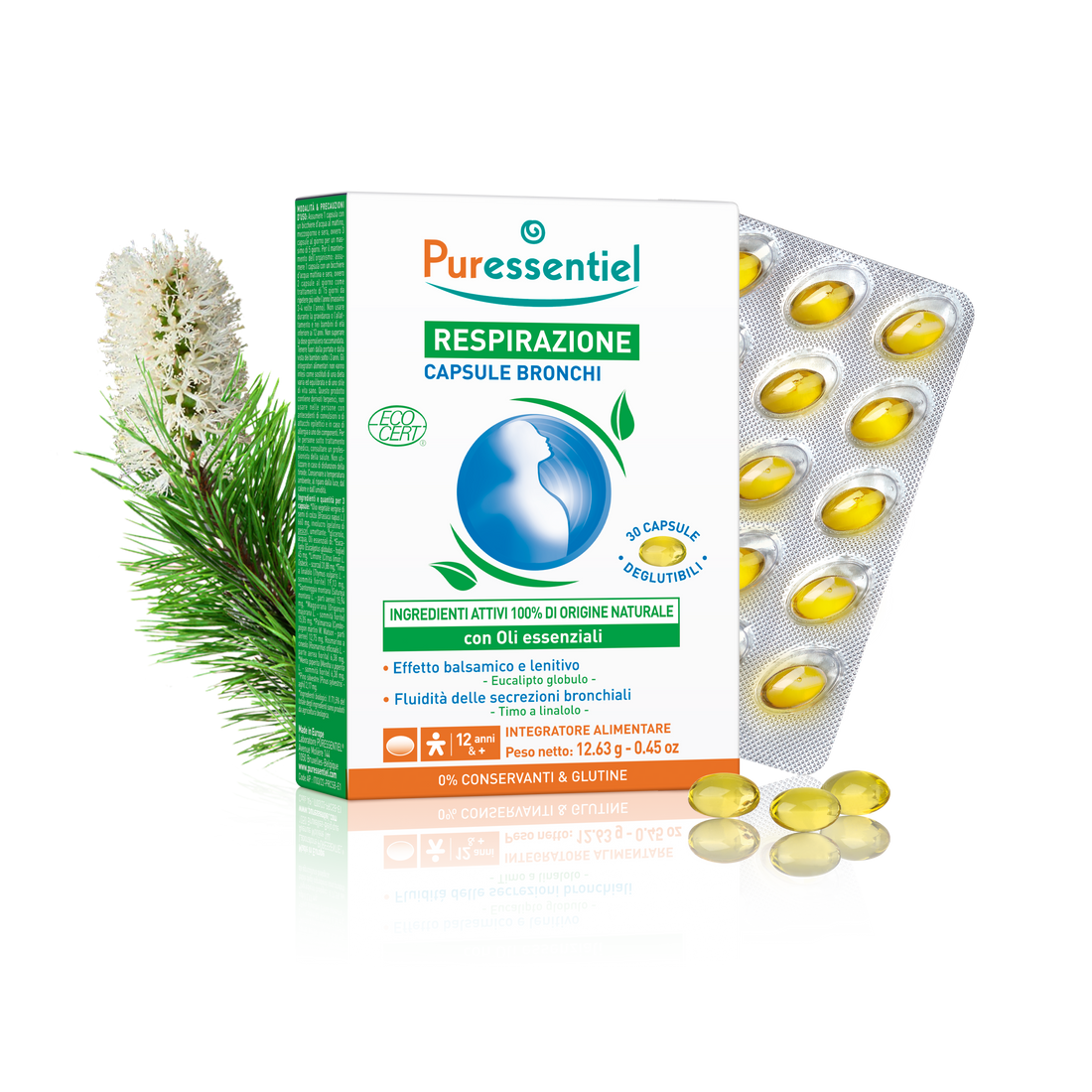 Capsule Bronchi