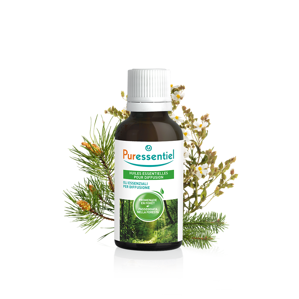 Oli Essenziali Per Diffusione Passeggiata Nella Foresta