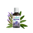 Oli Essenziali Per Diffusione Provence