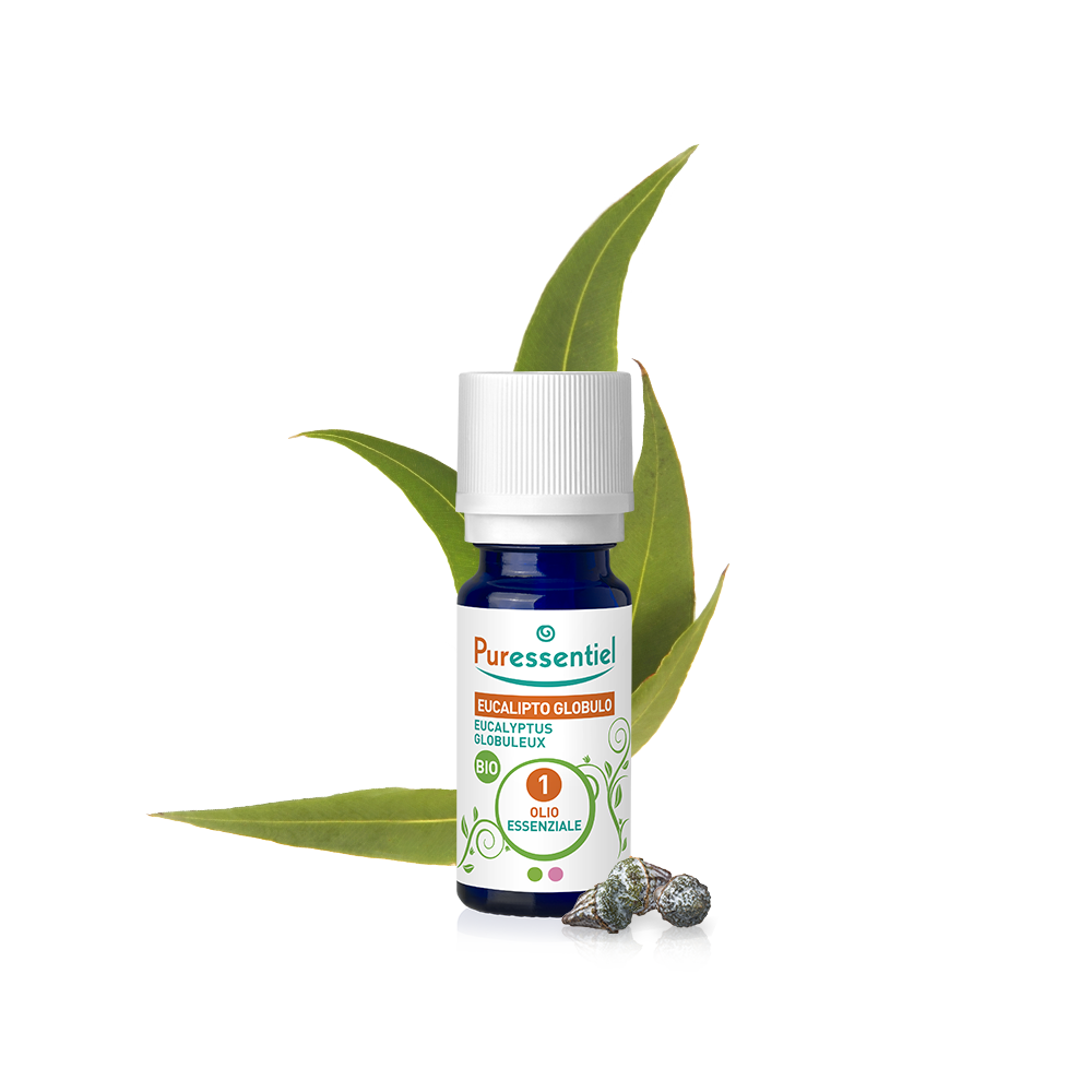 Olio Essenziale di Eucalipto Globulo Bio