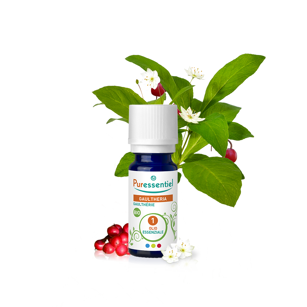 Gaultheria Bio Olio Essenziale