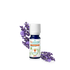 Lavanda Spica Bio Olio Essenziale
