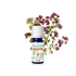 Maggiorana Bio Olio Essenziale