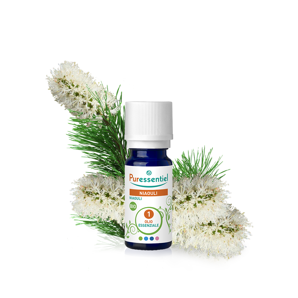 Niaouli Bio Olio Essenziale