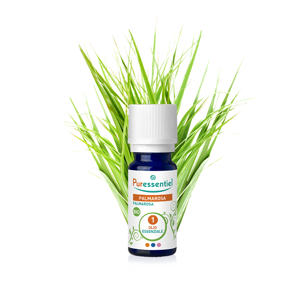 Palmarosa Bio Olio Essenziale