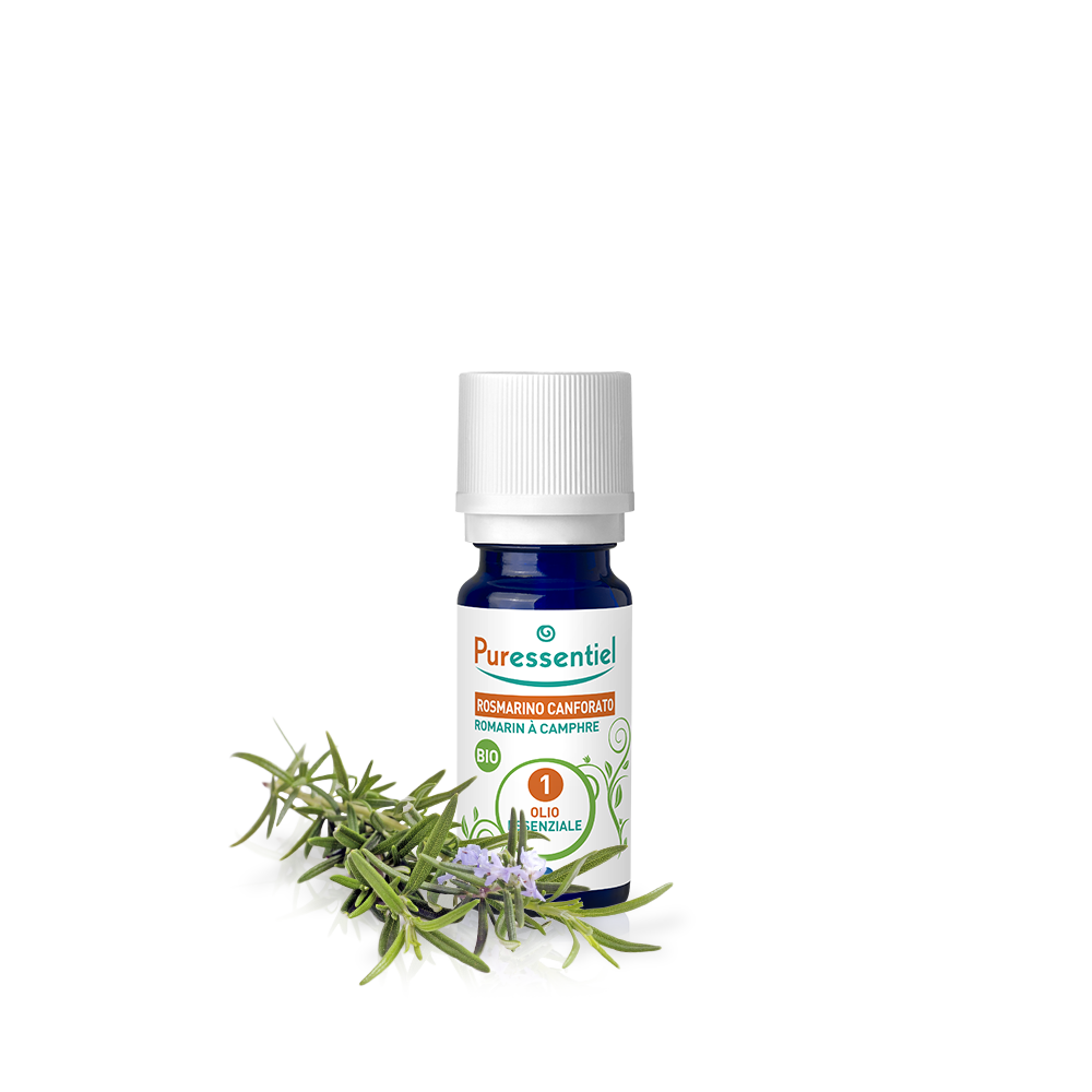 Rosmarino Canforato Bio Olio Essenziale
