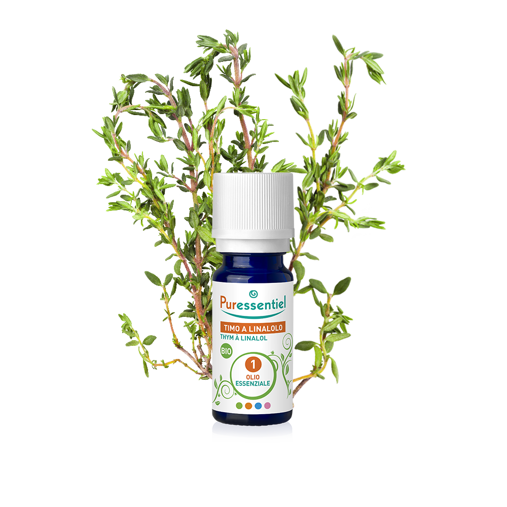 Timo A Linalolo Bio Olio Essenziale
