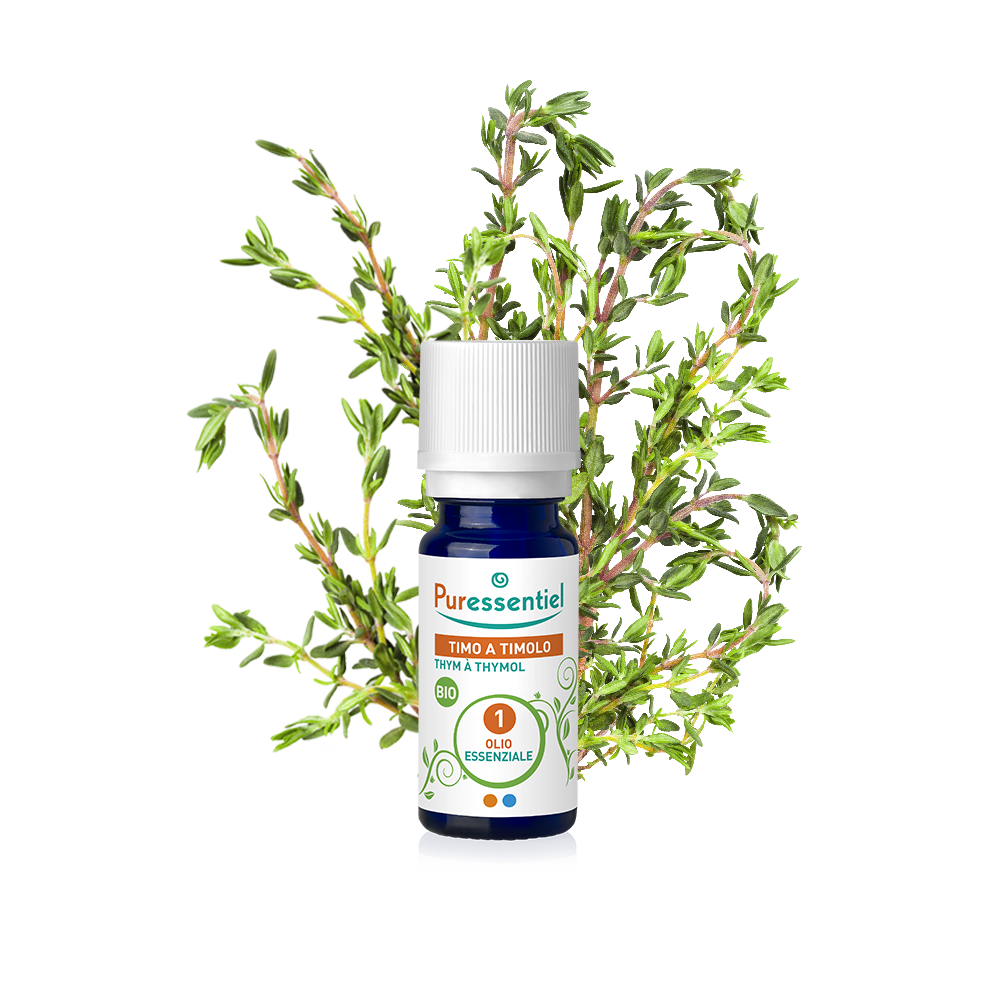 Timo A Timolo Bio Olio Essenziale